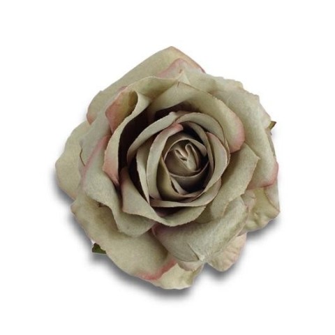 ROSA GREEN STELO CM10XD13